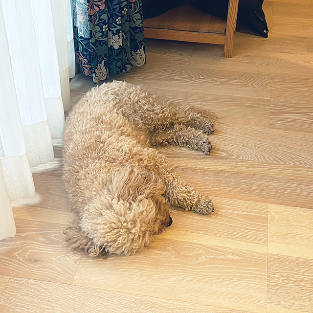 nbby16さんの部屋