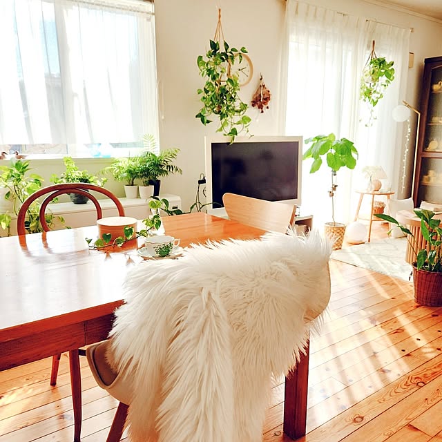 surviveさんの実例写真