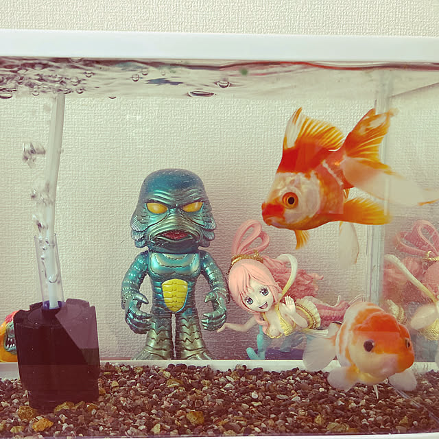 washi1718さんの実例写真