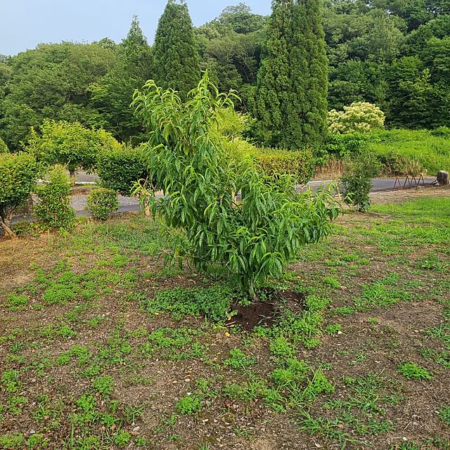 Rubiconさんの部屋