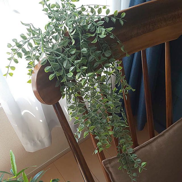 toukoさんの実例写真