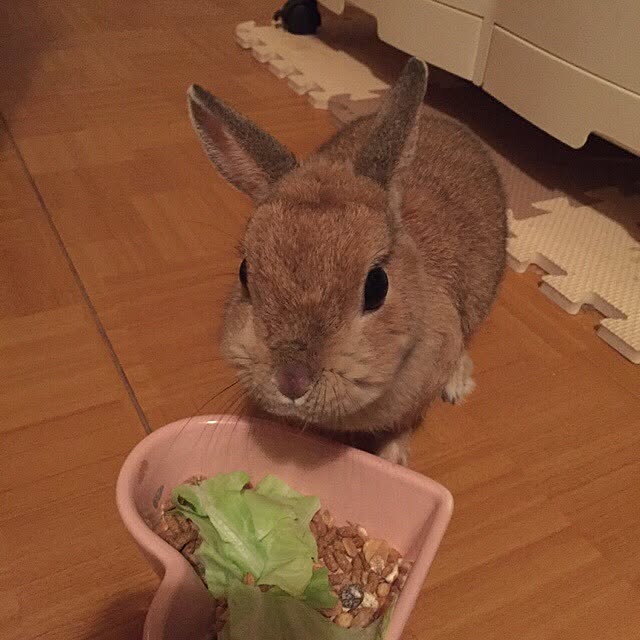 Mihoさんの実例写真