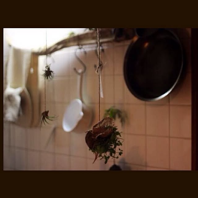 Youhei_kさんの実例写真