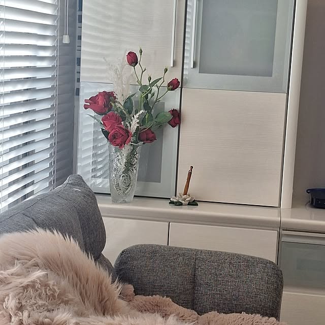 DailyRoomclip