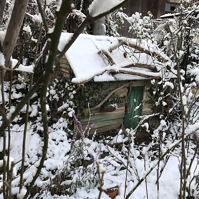 pepeさんの実例写真