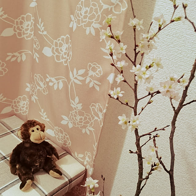 zunnchiさんの実例写真