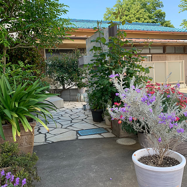 kekokekoさんの部屋