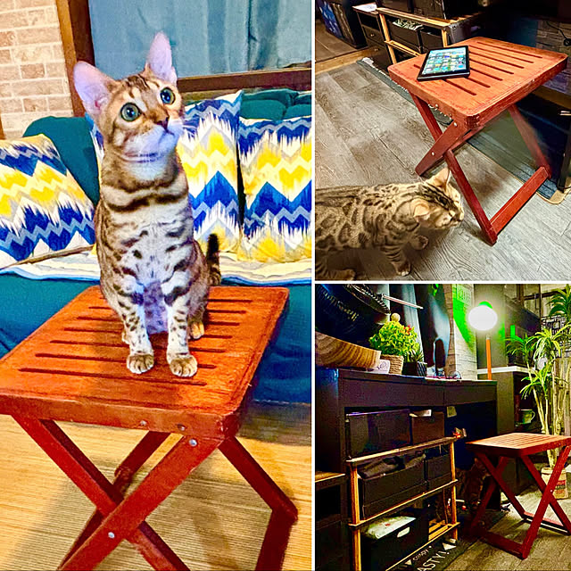 tututu0204さんの部屋