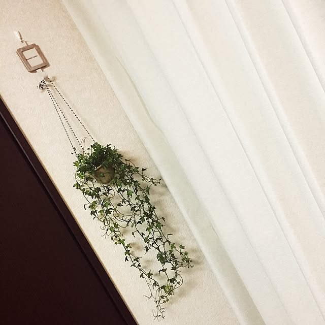 himawariさんの実例写真