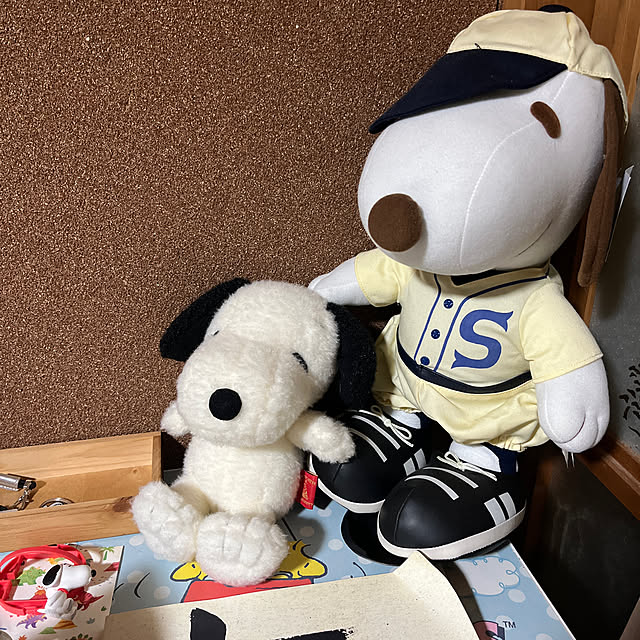AKANEさんの実例写真