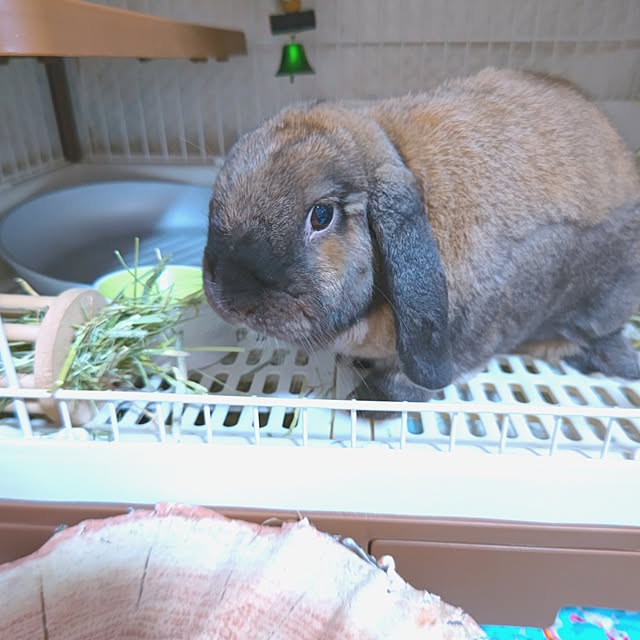 mariaさんの部屋