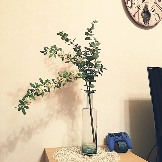 doragon_pansarさんの実例写真