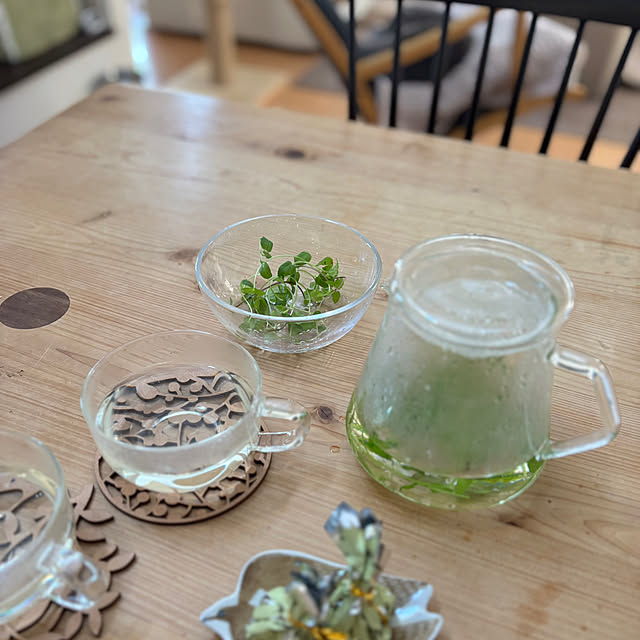 greycatsさんの部屋