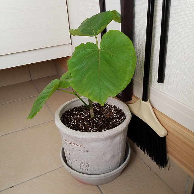 korokoroさんの実例写真