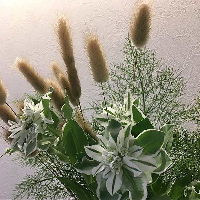 Sakura_hanaさんの実例写真