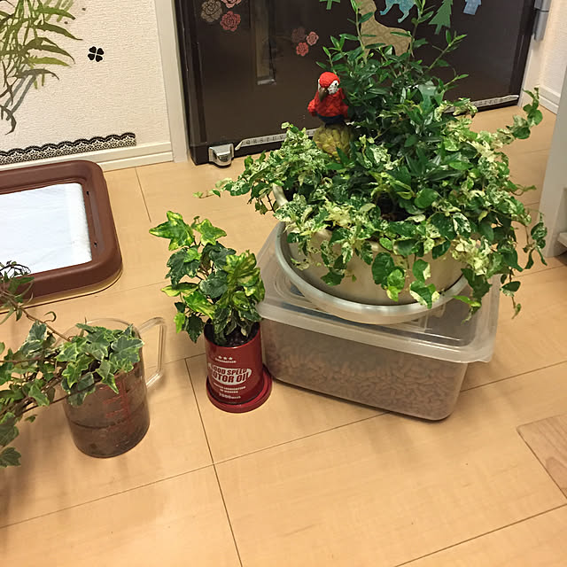 emiさんの実例写真