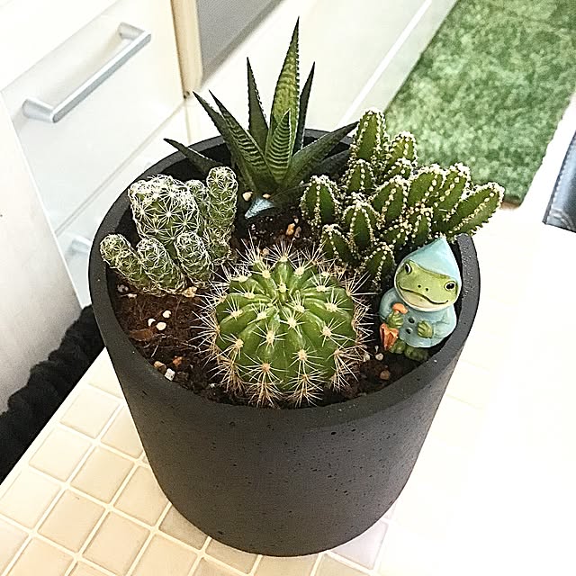 kaerucoさんの実例写真