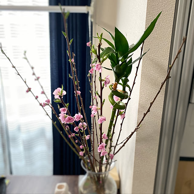 porinさんの実例写真