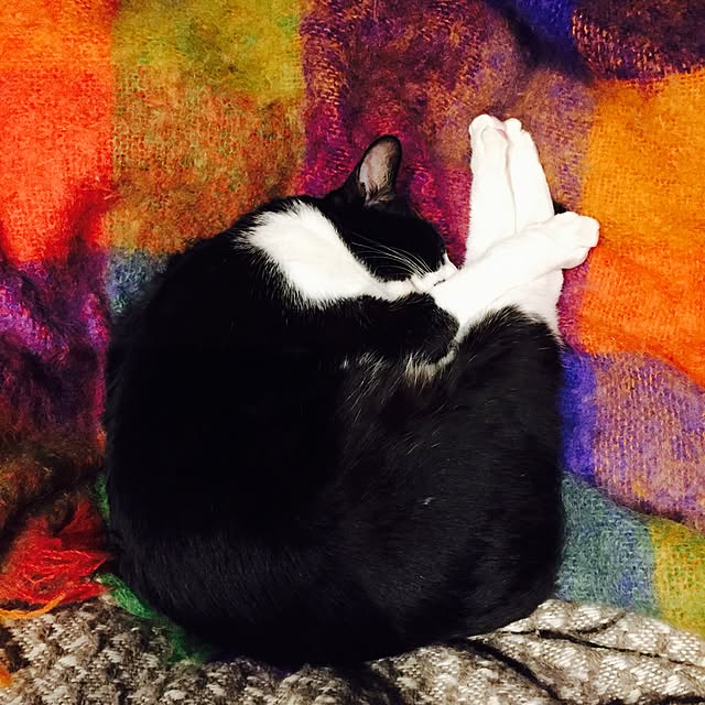 FullCircleさんの実例写真