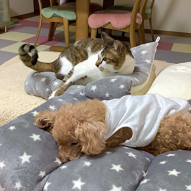 haruminさんの実例写真