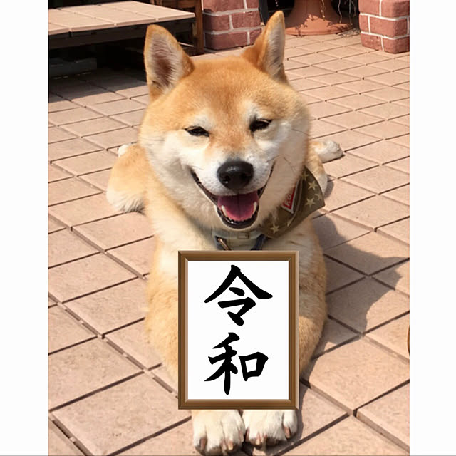 ronmaruさんの実例写真