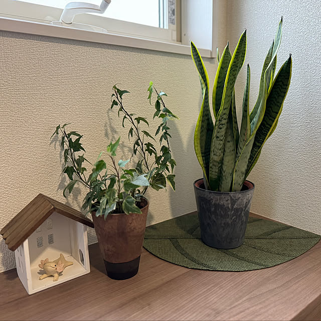 mamamoriさんの部屋
