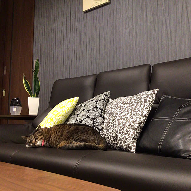 houenさんの実例写真