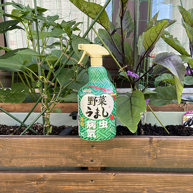 shi-saさんの実例写真