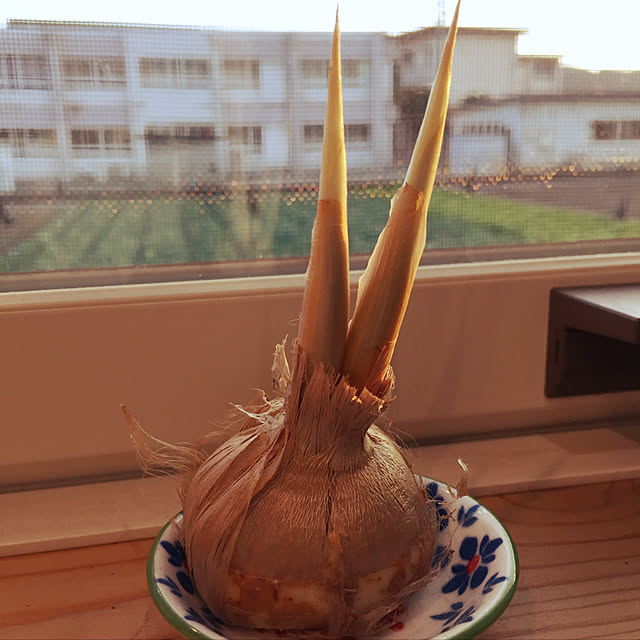 miyaさんの実例写真