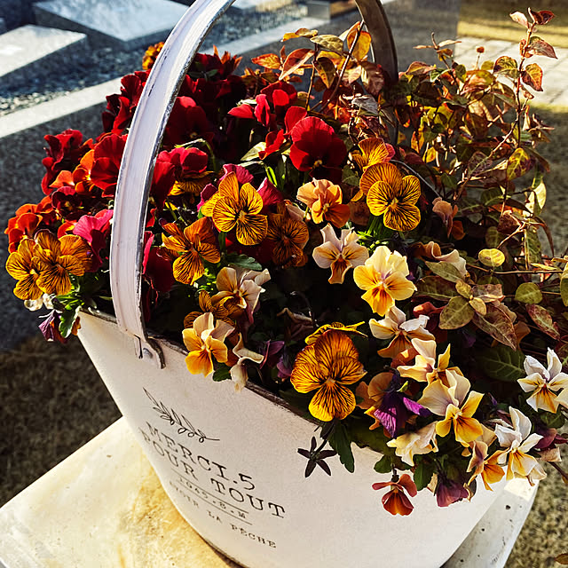 shimaさんの実例写真