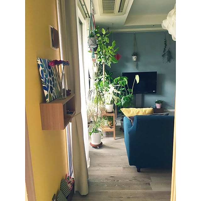 naoさんの実例写真