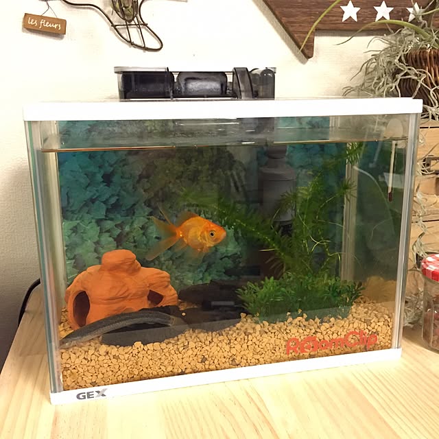 viviさんの実例写真