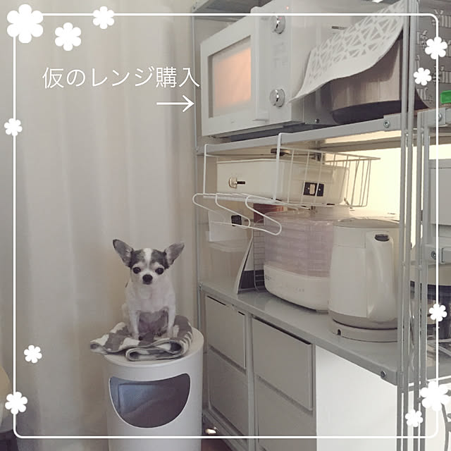 Emiさんの実例写真