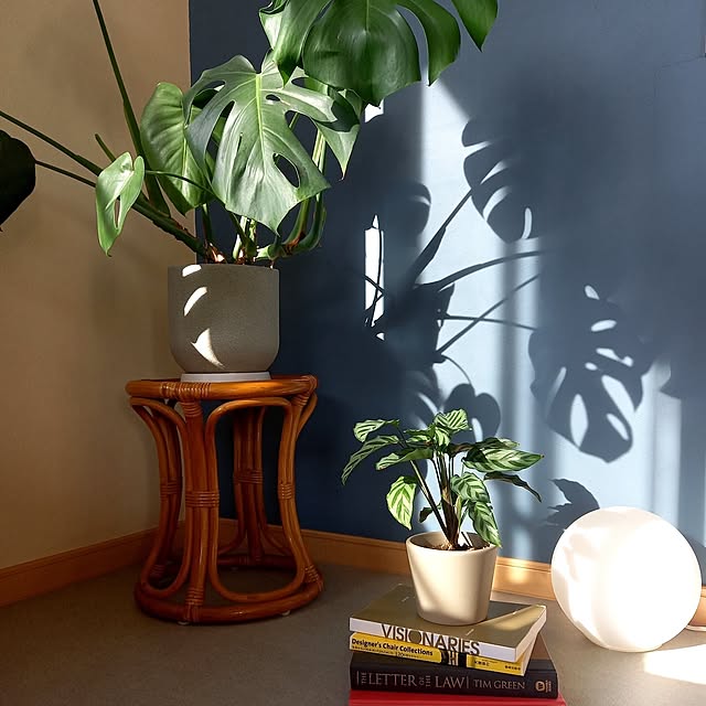 Y.さんの実例写真