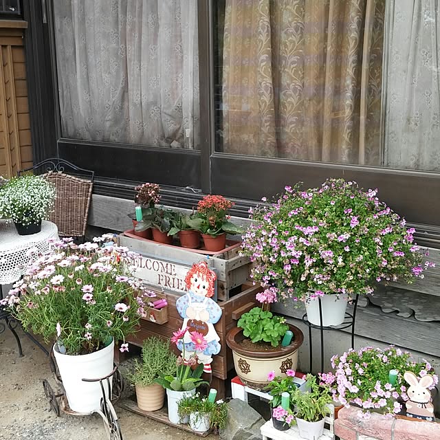 実例写真