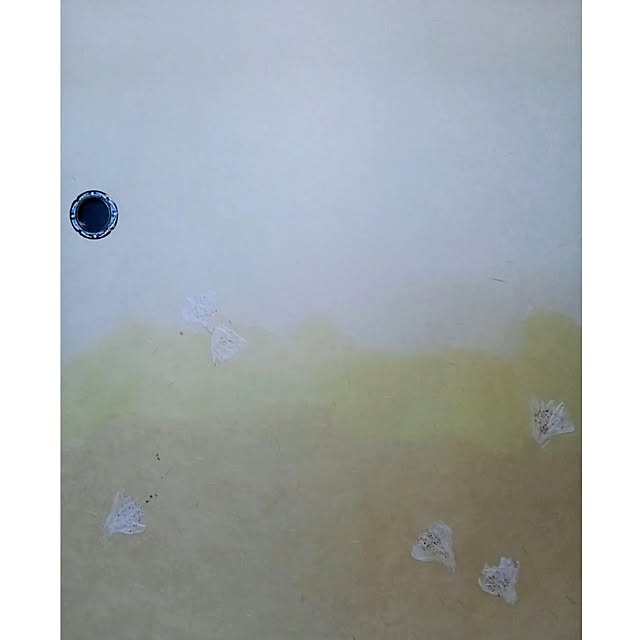 waniwaniさんの部屋