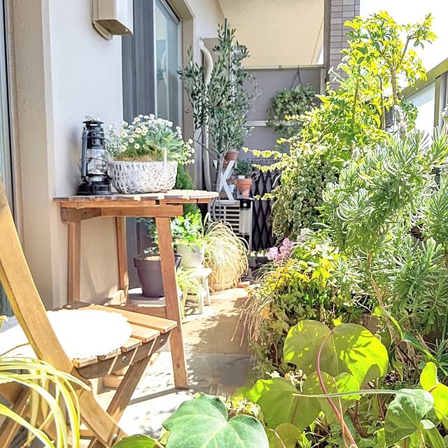 YuriYuriさんの部屋