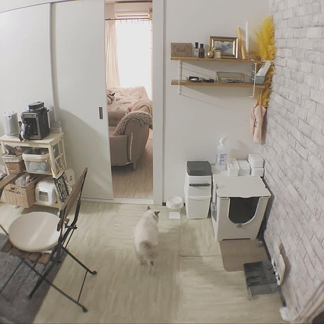 r______asさんの実例写真