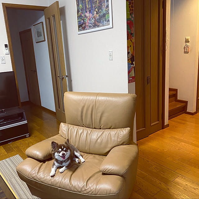 chIoeさんの実例写真