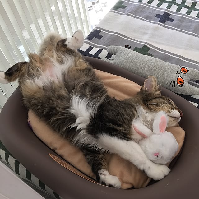 yuchiさんの実例写真