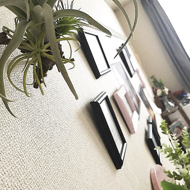 nonkichiさんの実例写真