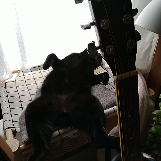 Tさんの実例写真