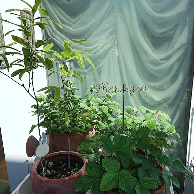 Ohigeさんの実例写真