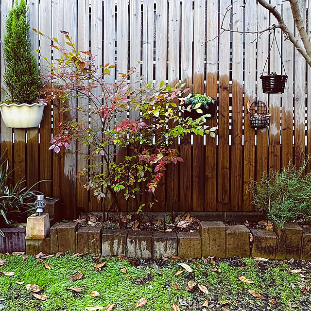 chacoさんの部屋