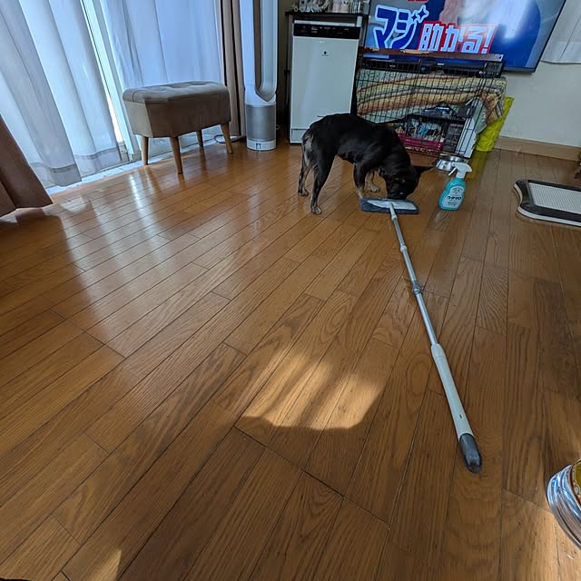 chi_gogaさんの部屋