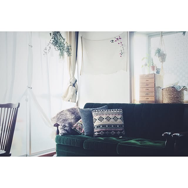 okikoさんの実例写真