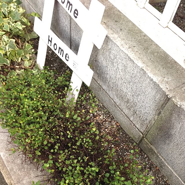 kassyyomeさんの実例写真