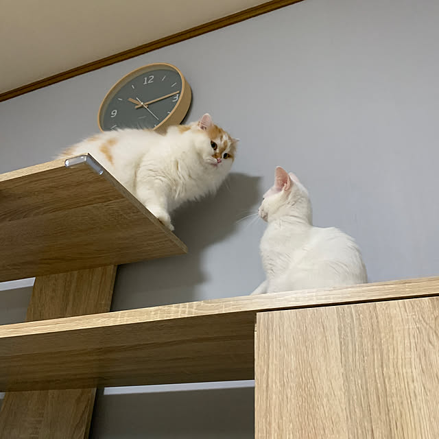 keiさんの実例写真