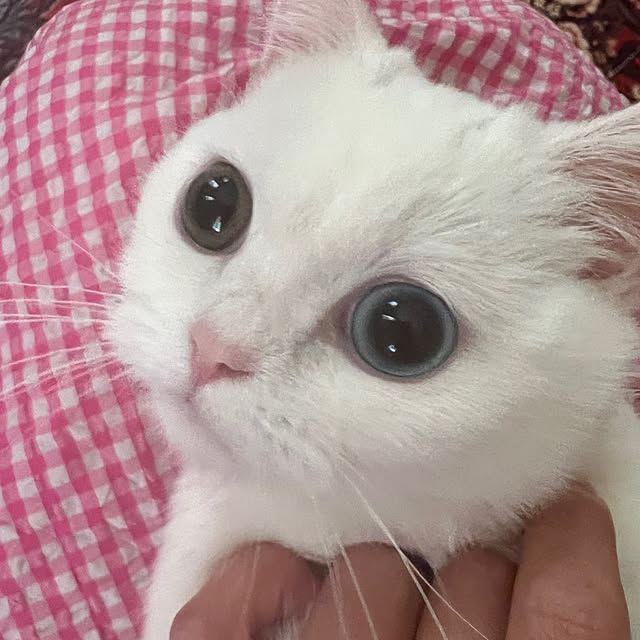 AYUKOさんの部屋