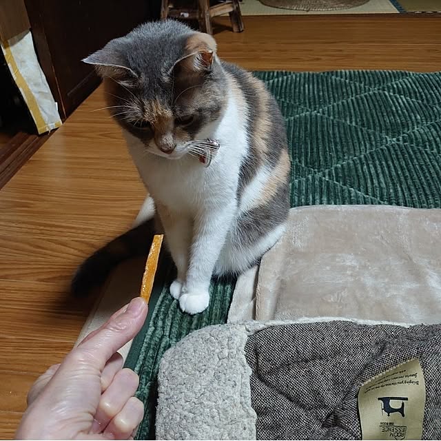 fukuさんの実例写真
